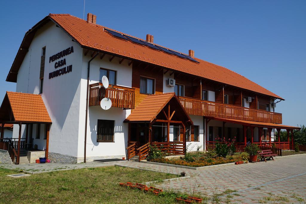 Pensiunea Casa Bunicului Mociu Exterior foto